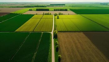 generativo ai, granja paisaje, agrícola campos, hermosa campo, país la carretera. naturaleza ilustración, fotorrealista parte superior ver zumbido, horizontal bandera. foto