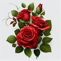 Red rose on white background, floral pattern - image photo