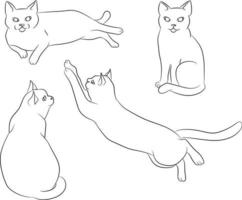 Cute hand drawn white cat in different positions vector