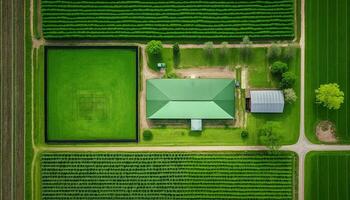 generativo ai, granja paisaje, agrícola campos, hermosa campo, país la carretera. naturaleza ilustración, fotorrealista parte superior ver zumbido, horizontal bandera. foto