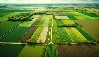 generativo ai, granja paisaje, agrícola campos, hermosa campo, país la carretera. naturaleza ilustración, fotorrealista parte superior ver zumbido, horizontal bandera. foto