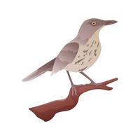 Brown Thrasher Perched on branch with isolated background vector