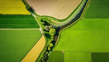 generativo ai, granja paisaje, agrícola campos, hermosa campo, país la carretera. naturaleza ilustración, fotorrealista parte superior ver zumbido, horizontal bandera. foto