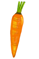 aquarelle et dessin pour Frais carotte. numérique La peinture de des fruits et des légumes illustration. régional nourriture concept. png