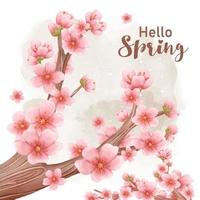 Spring Themed Cherry Blossom background vector