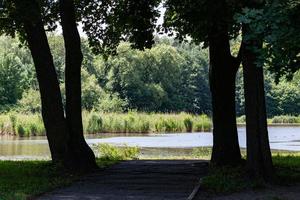 Path between two trees in shadows. Summer weather. Beautiful lake background. photo