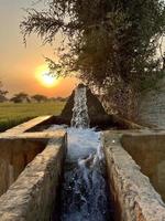 water gushing out from tube well through pipeline for irrigating the agricultural fields photo