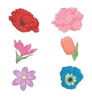 colorful spring flowers collection set vector