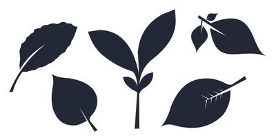 collection of leaf silhouettes of different shapes on white background vector