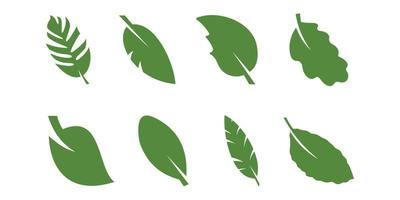 tropical leaves collection, nature leaves, green leaves vector