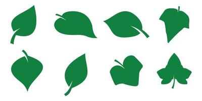 collection of green leaf shapes, spring, organic leaves on white background vector