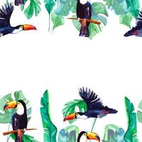 Seamless frame with tropical plants and birds tucanos watercolor for decor vector