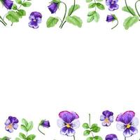 Pansy flowers seamless frame for decor, invitations floral nature illustration vector