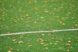 Artificial grass, sports field cover photo
