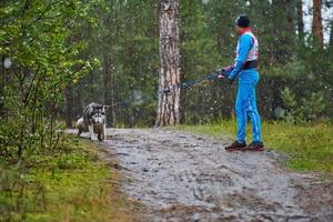 Canicross dog mushing race photo