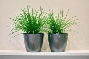 Two artificial green plants pot on shelf photo