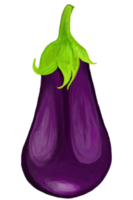 Watercolor and drawing for violet Eggplant. Digital painting of fruits illustration. png