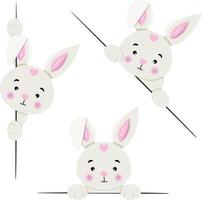 Adorable  bunny peeking out from behind in various positions vector