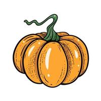 Autumn pumpkin hand drawn outline sketch style. Vector art illustration.