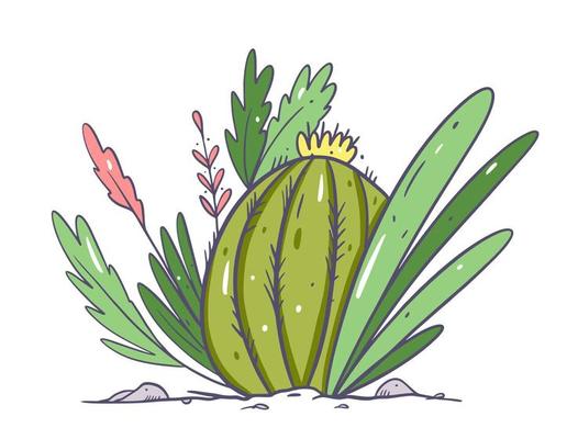 Cactus and plants in the soil. Hand drawn vector illustration. Isolated on white background.