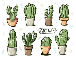 Cactus in home flower pots. Cartoon style. Vector illustration. Isolated on white background.