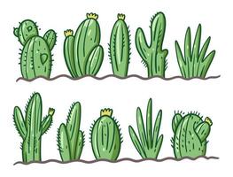 Cactus in the soil collection set. Colorful vector illustration in kids style. Isolated on white background. Design for banner, poster and web.