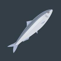 Sardine vector illustration for graphic design and decorative element