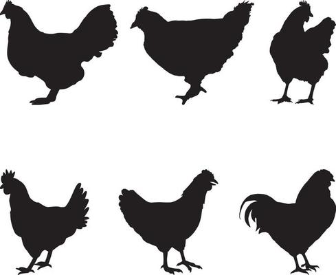 hen chicken silhouette set