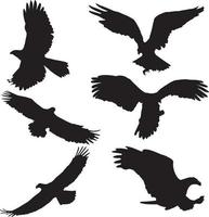 silhouettes of eagle . Eagle Silhouette set on white background vector