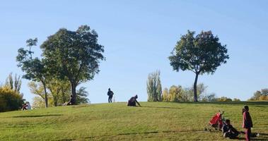 Menschen sind ruhen im das Park im Natur. sitzen auf das Rasen und sich unterhalten video