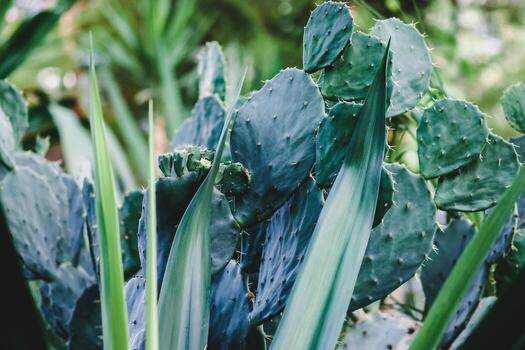 suculento Desierto plantas creciente en botánico jardín foto