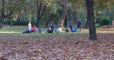 hombres Vamos en para Deportes en un público parque en el césped. personas haciendo ejercicios video