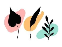 Three leaves set minimalistic design template. Han drawn colorful vector illustration.