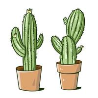 Two green cactus in brown pots. Hand drawn vector illustration. Flat cartoon style.