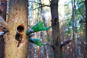 Necks of broken glass bottles on tree branches in forest for shooting photo