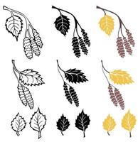 Birch leaves and twigs outline, in silhouette and colorful isolated on white background vector