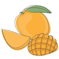 Mango. Color illustration of ripe fresh mango with slices and leaves vector