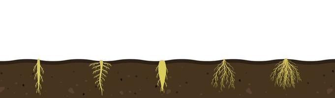 Variety of root systems in soil. Vector illustration of black soil section. Visual aid of fibrous and taproot rhizomes of plants.