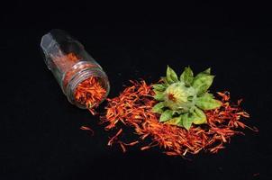 Spices and herbs photo