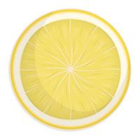 Fresh lemon slice with shadow isolated on white, Vector flat illustration