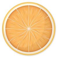 Fresh orange slice with shadow isolated on white, Vector flat illustration