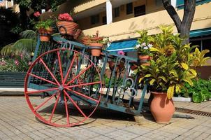 Cart with planters photo