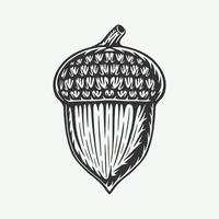 Vintage retro woodcut forest camping acorn. Can be used like emblem, logo, badge, label. mark, poster or print. Monochrome Graphic Art. vector