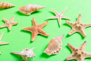 lot of seashells and many starfish on green background photo