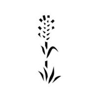 plant green wheat glyph icon vector illustration