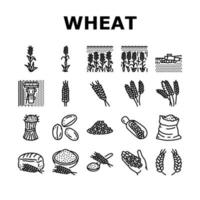 wheat grain bread harvest icons set vector