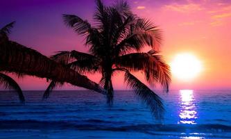 silueta de palmera en la playa durante la puesta de sol de una hermosa playa tropical sobre fondo de cielo rosa foto