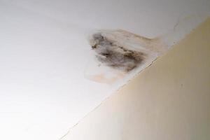 Water damaged ceiling roof, brown stain, office building photo