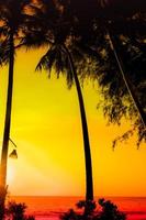 Silhouette of palm trees Beautiful sunset on the tropical.pink sky background for travel in holiday relax time, photo
