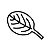 leaf spinach line icon vector illustration